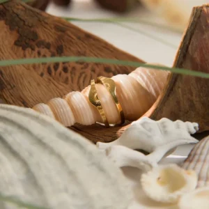 Friendship Kaya Yüzük, 925 ayar gümüşten üretilmiş güçlü ve anlamlı bir tasarıma sahiptir.