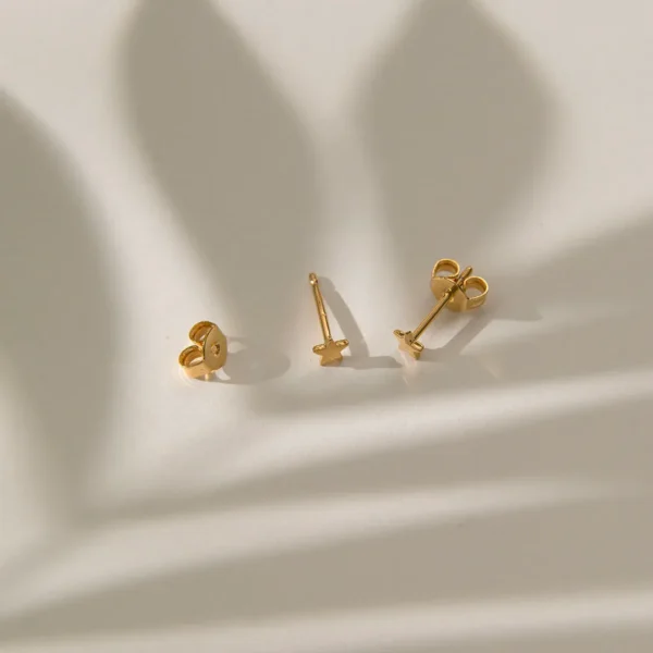 Star Studs Küpe (2)