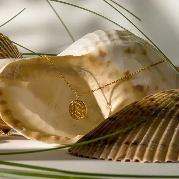Una Flower of life (4)